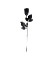 ROSA NEGRA 44CM