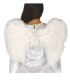 ALAS ANGEL PLUMAS 60X45 CM