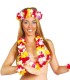 CONJUNTO HAWAIANO "EXTRA"