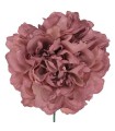 PEONIA GIGANTE TEÑIDA