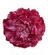 FLOR PEONIA TEÑIDA NUEVA