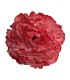 FLOR PEONIA TEÑIDA NUEVA