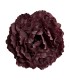 FLOR PEONIA TEÑIDA NUEVA