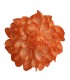 FLOR DALIA AMARANTE
