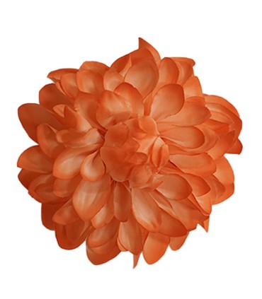 FLOR DALIA AMARANTE