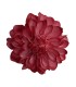 FLOR DALIA AMARANTE