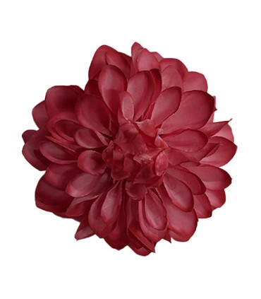 FLOR DALIA AMARANTE