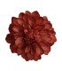FLOR DALIA AMARANTE