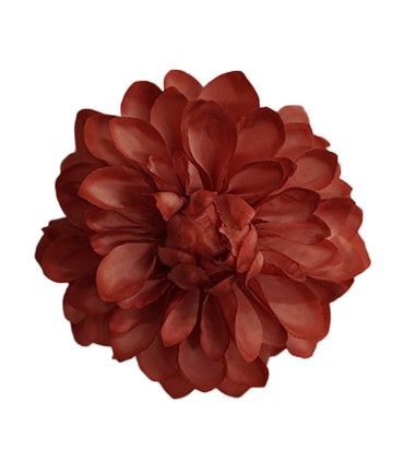 FLOR DALIA AMARANTE