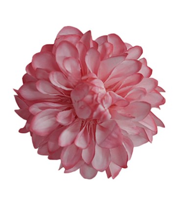 FLOR DALIA AMARANTE
