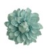 FLOR DALIA AMARANTE