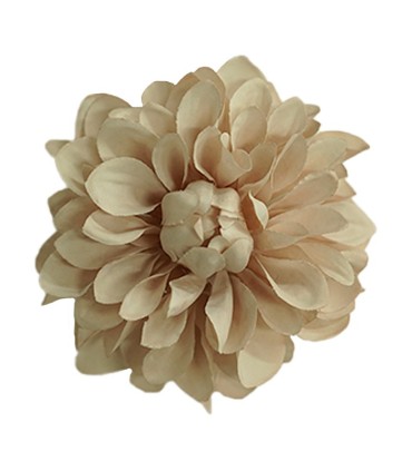 FLOR DALIA AMARANTE
