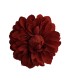 FLOR DALIA AMARANTE