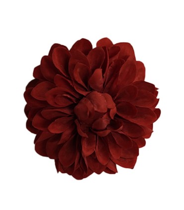FLOR DALIA AMARANTE
