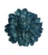 FLOR DALIA AMARANTE