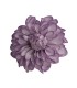 FLOR DALIA AMARANTE