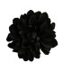 FLOR DALIA AMARANTE