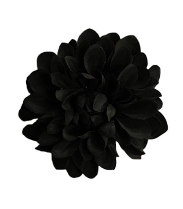 FLOR DALIA AMARANTE