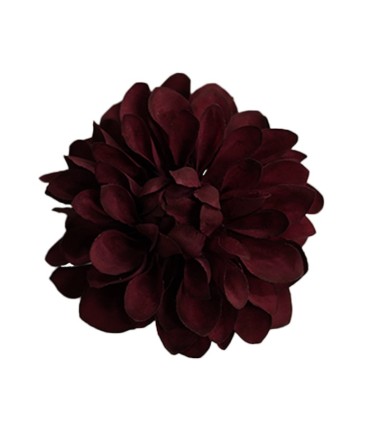 FLOR DALIA AMARANTE