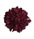 FLOR DALIA AMARANTE