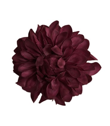 FLOR DALIA AMARANTE