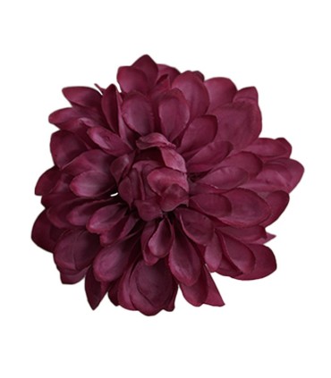 FLOR DALIA AMARANTE