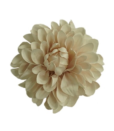 FLOR DALIA AMARANTE