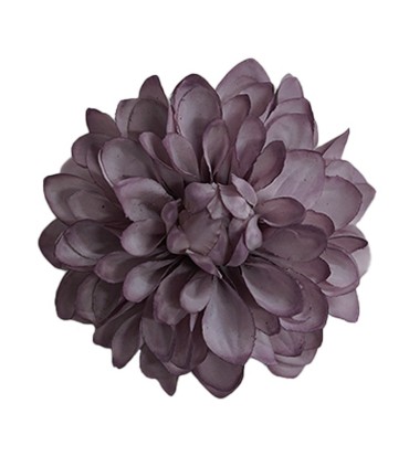 FLOR DALIA AMARANTE