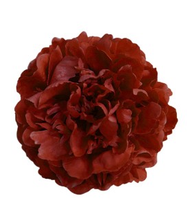 PEONIA GIGANTE TEÑIDA