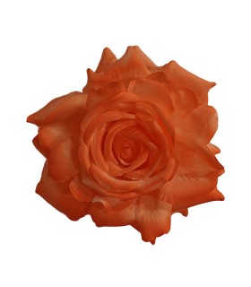 ROSA MADEIRA TEÑIDA