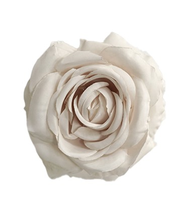 ROSA OPORTO