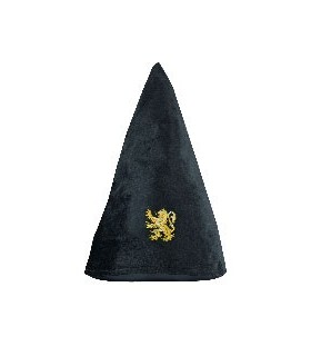 SOMBRERO DE ESTUDIANTE GRYFFINDOR HP