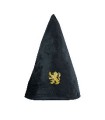 SOMBRERO DE ESTUDIANTE GRYFFINDOR HP