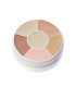 CONCEAL-ALL WHEEL