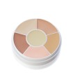 TOTAL CONCEAL-ALL WHEEL