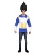 DISFRAZ CAMISETA VEGETA