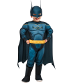 DISFRAZ BATMAN DCP