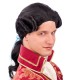 PELUCA EPOCA CABALLERO