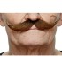 BIGOTE ADULTO