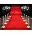 ALFOMBRA 450X60 CM