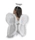 ALAS DE ANGEL INF
