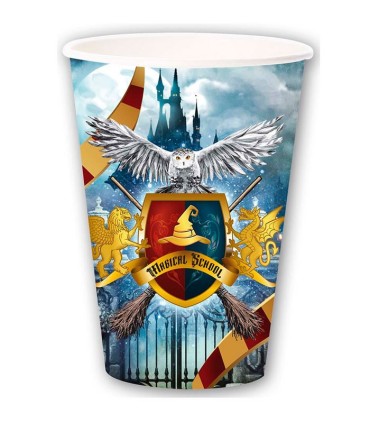 BOLSA 6 VASOS MAGO 355ML