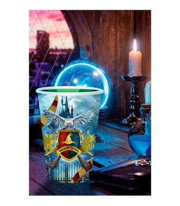 BOLSA 6 VASOS MAGO 355ML