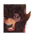 OREJAS HOMBRE LOBO LATEX