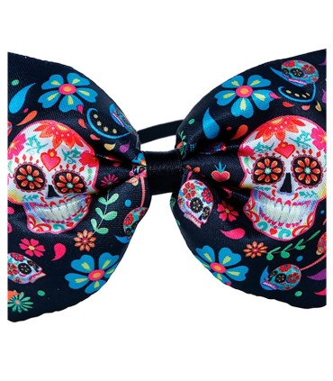 PAJARITA CATRINA