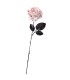 FLOR BLANCA C/SANGRE
