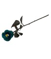 FLOR AZUL NEGRA OJO DE GATO