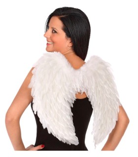 ALAS DE ANGEL BLANCO