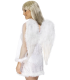 ALAS ANGEL BLANCAS