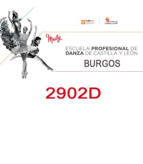 2902D